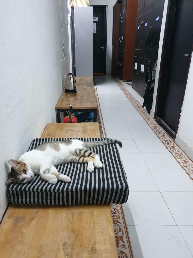 Starfish Alley Hostel Da Nang Exteriör bild